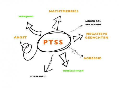 Themabijeenkomst PTSS